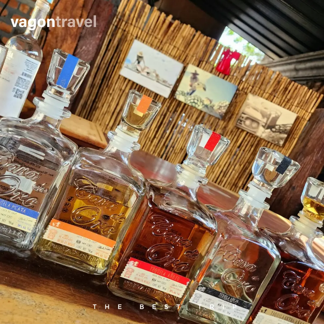 Tour Tequila Fest by VagonTravel in Tequila, Jalisco, photo 3 of 4