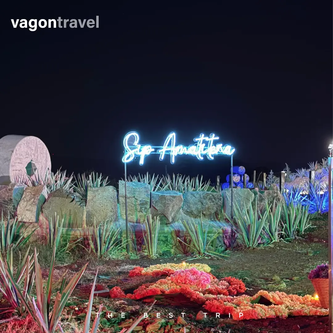 Tour Tequila Fest by VagonTravel in Tequila, Jalisco, photo 4 of 4