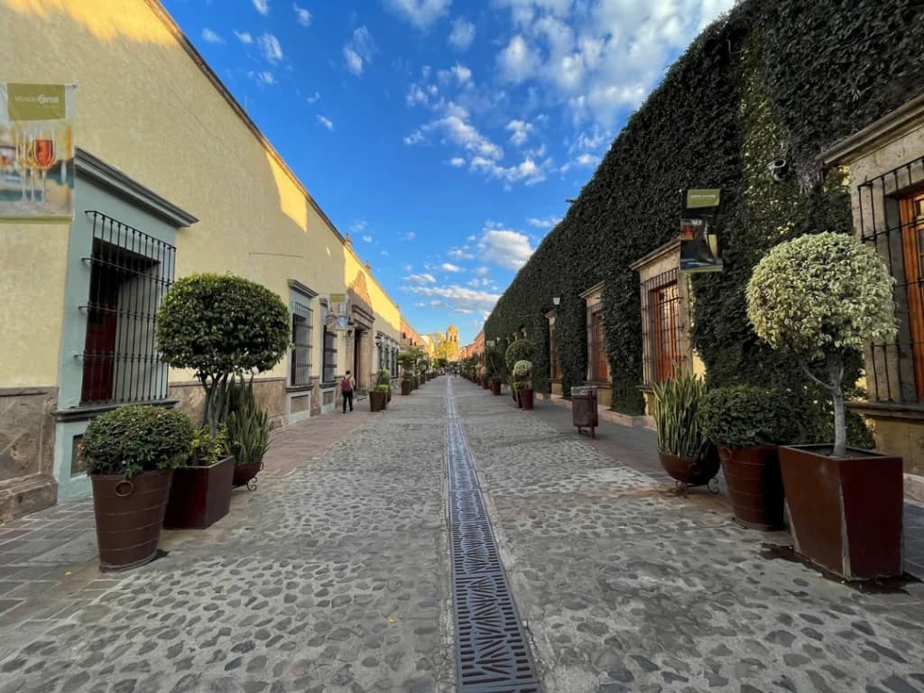 Grupo corporativo durante un tour de VagonTravel por Jalisco